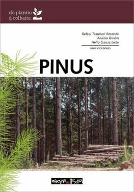 Pinus