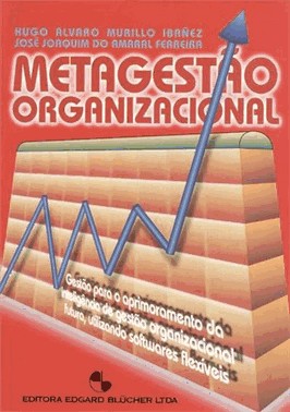 Metagestao Organizacional