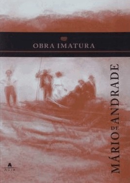 Obra Imatura 01