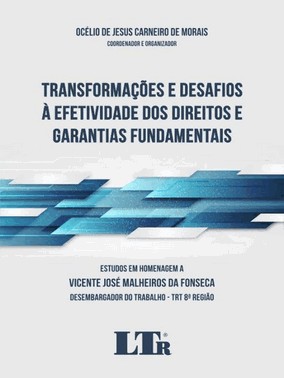 Transformacoes E Desafios A Efetividade Dos Direitos E Garantias Fundamentais