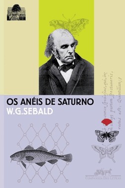 Os Aneis De Saturno