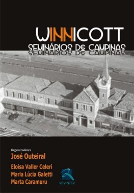 Winnicott: Seminarios De Campinas