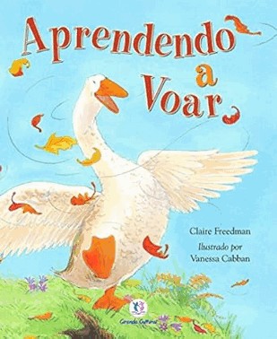 Aprendendo A Voar