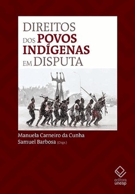 Direitos Dos Povos Indigenas Em Disputa