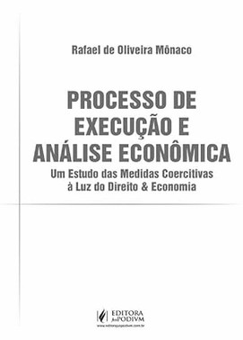 Processo De Execucao E Analise Economica