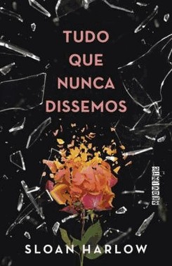 Tudo Que Nunca Dissemos