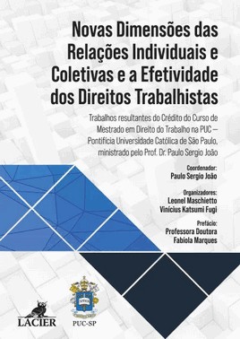 Novas Dimensoes Das Relacoes Individuais E Coletivas E A Efetividade Dos Direitos Trabalhistas