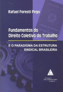 Fundamentos Do Direito Coletivo Do Trabalho E O Paradigma Da Estrutura Sindical Brasileira - 01Ed/12