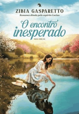 O Encontro Inesperado