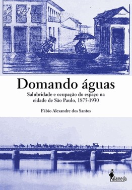 Domando Aguas - Salubridade E Ocupacao Do Espaco Na Cidade De Sao Paulo, 1875-1930