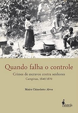 Quando Falha O Controle: Crimes De Escravos Contra Senhores - Campinas, 1840/1870