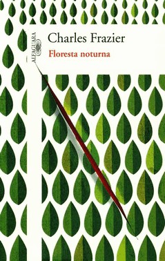 Floresta Noturna Floresta Noturna