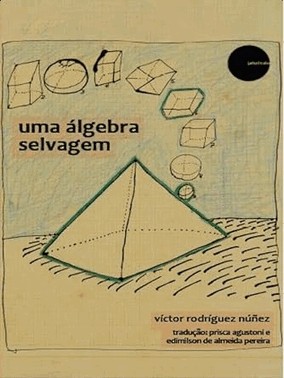 Uma algebra Selvagem