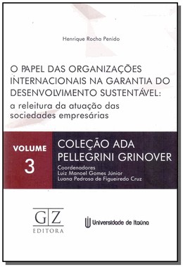 Papel Das Organizacoes Internacionais Na Garantia Do Desenvolvimento Sustentavel, O