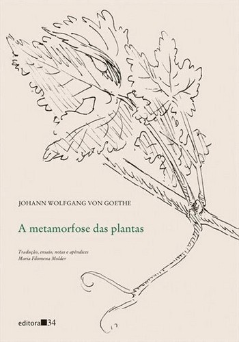 A Metamorfose Das Plantas A Metamorfose Das Plantas