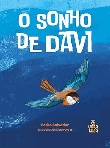 O Sonho De Davi O Sonho De Davi