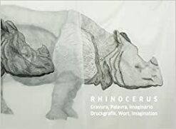 Rhinocerus - Gravura, Palavra, Imaginario - Druckgrafik, Wort, Imagination