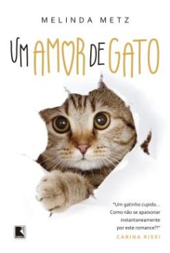 Um Amor De Gato