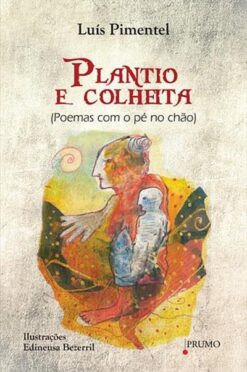 Plantio E Colheita