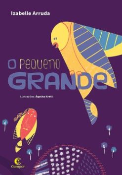 O Pequeno Grande