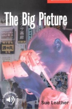 Big Picture, The