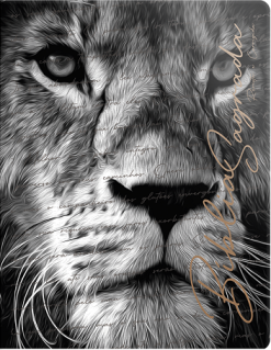 Biblia Arc Compacta - Leao Promessas Divinas