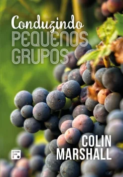 Conduzindo Pequenos Grupos