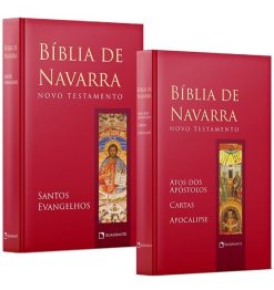 Colecao Biblia De Navarra: Novo Testamento