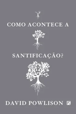 Como Acontece A Santificacao?