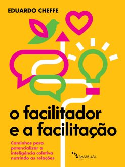 O Facilitador E A Facilitacao